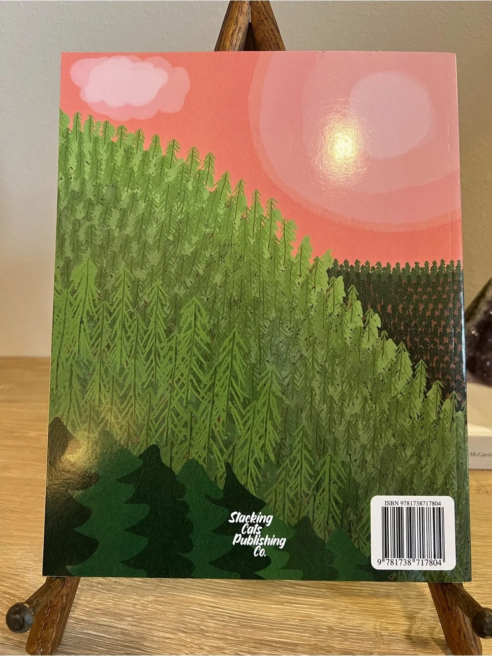 Lumberjack Dans Lumberjack Day Cody Wheeler Paperback Childrens Book